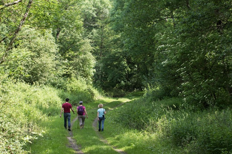 Le moulin de Saint-Civran - Sur les chemins
