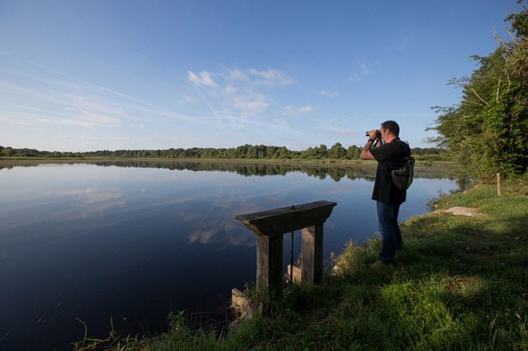 Chemins de sable en Brenne - Au bord de l'étang d'Oince