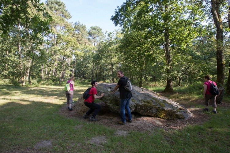 Chemins de sable en Brenne - Dolmen de la pierre St-Martin