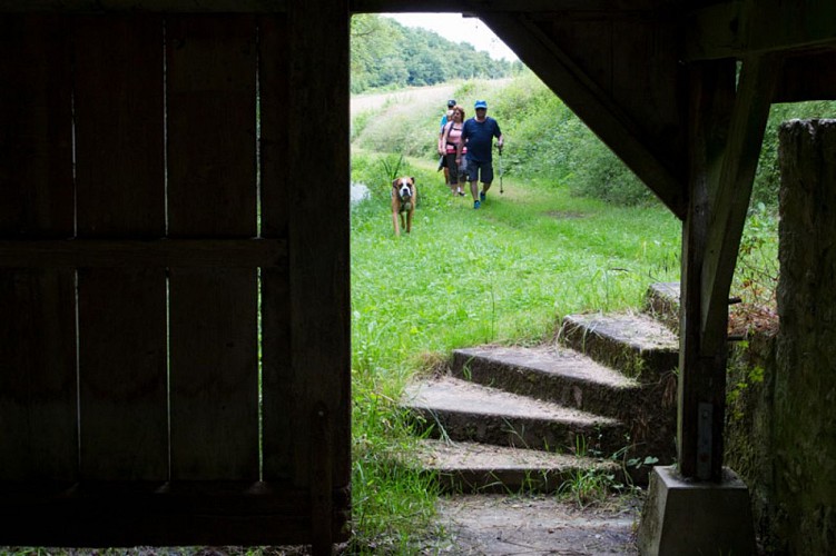 Balade en bord de Creuse - Vers le lavoir des Chézeaux