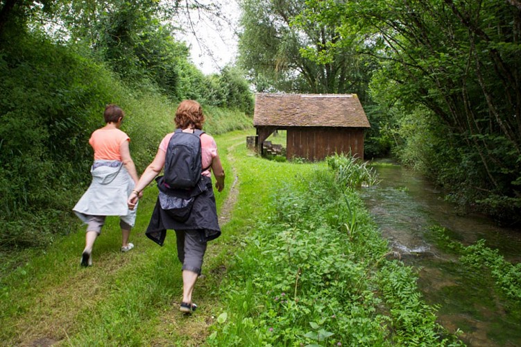 Balade en bord de Creuse - Vers le lavoir des Chézeaux