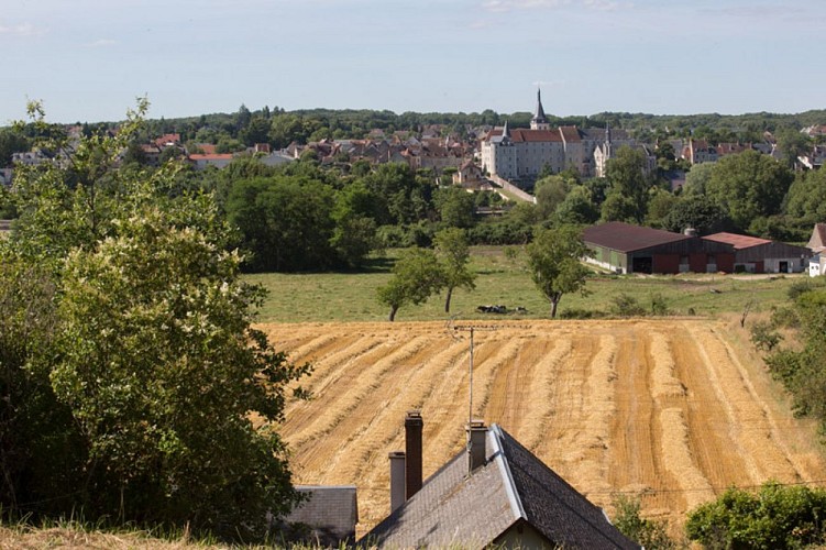 Terres de vignerons - Vue sur l'ancienne collégiale de St Gaultier
