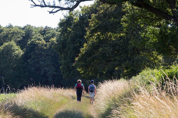 Terres de vignerons - Sur les chemins