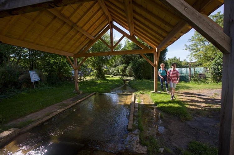 Terres de vignerons - Vers l'ancien lavoir