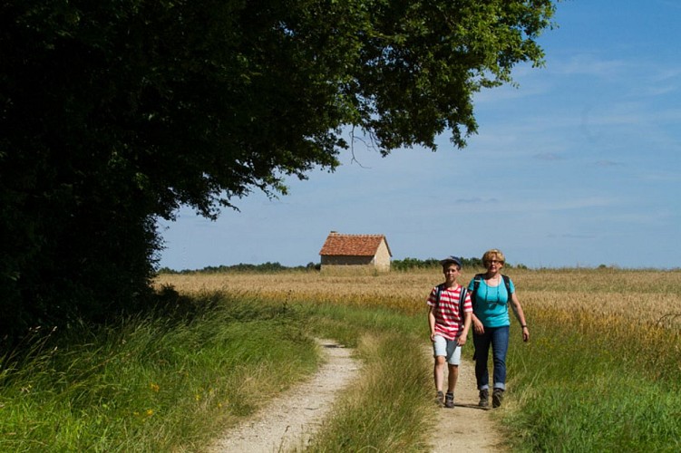 Le coteau aux loges de vigne - Sur les chemins