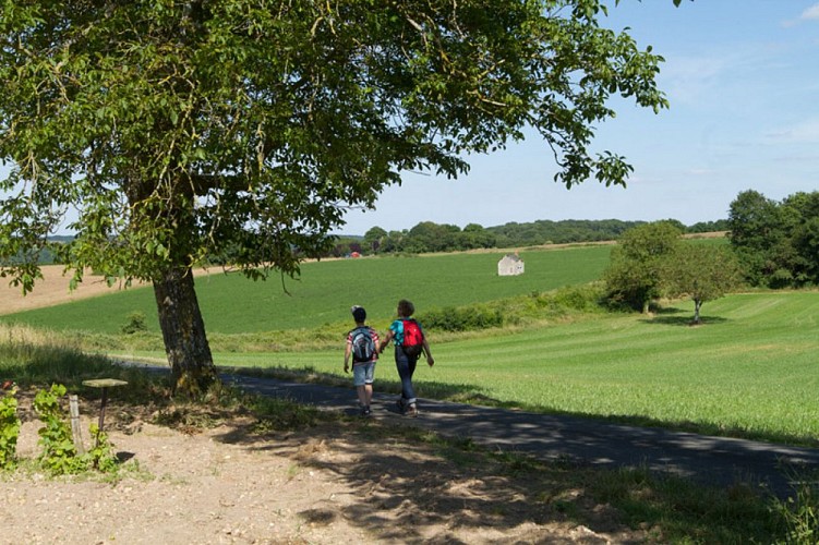 Le coteau aux loges de vigne - Sur les chemins