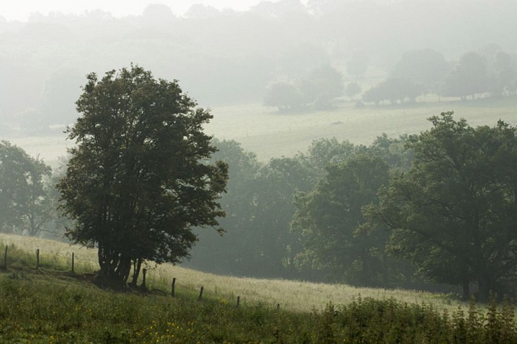 La vallée de l'Abloux et ses forges - Vue sur le bocage