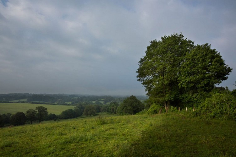 La vallée de l'Abloux et ses forges - Vue sur le bocage