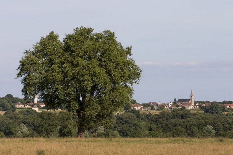 La balade du colombier - Vue au loin sur le bourg de Lureuil