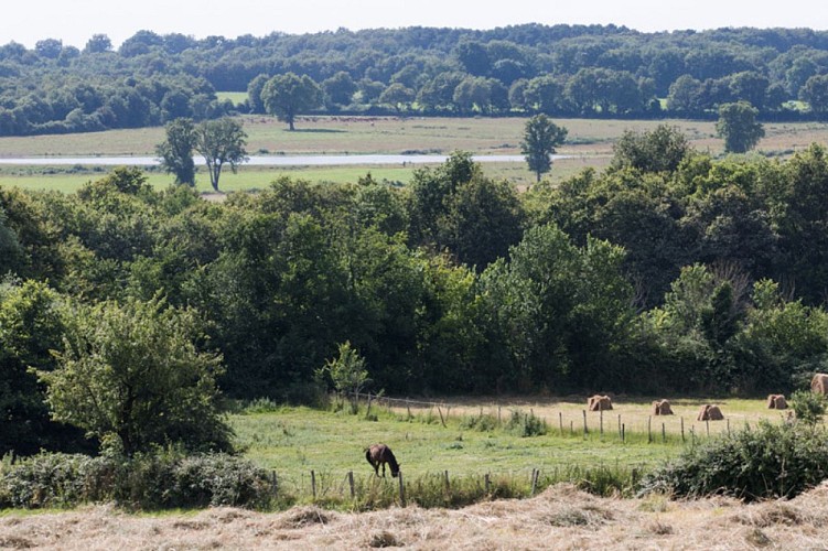 La balade du colombier - Le bocage à Lureuil