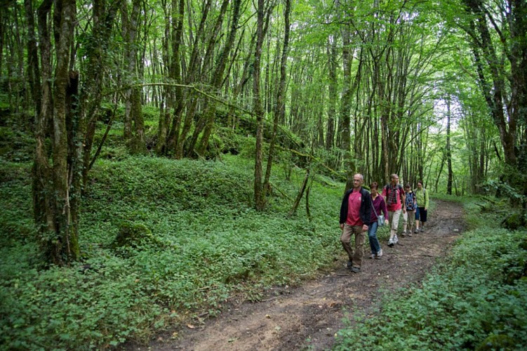 Histoire de chèvre et de pierres - Dans la vallée du Suin