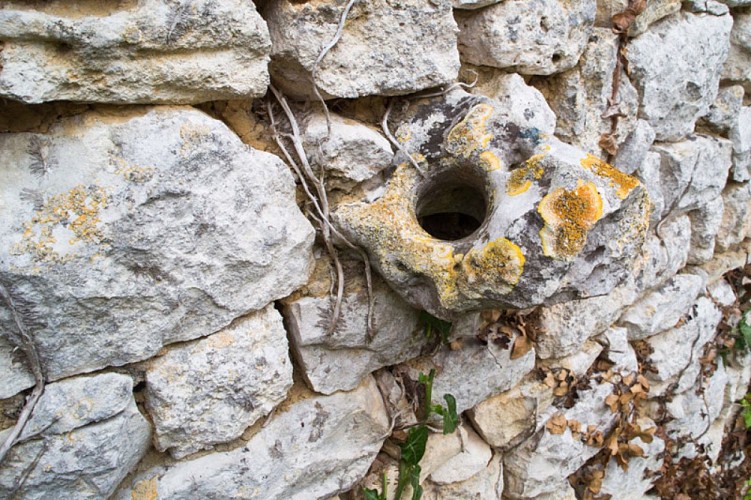 Histoire de chèvre et de pierres - Une pierre à âne