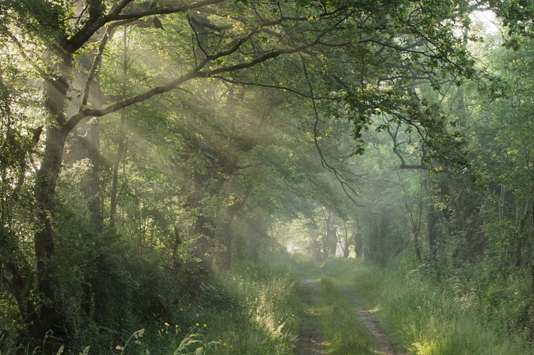 Par un matin ensoleillé