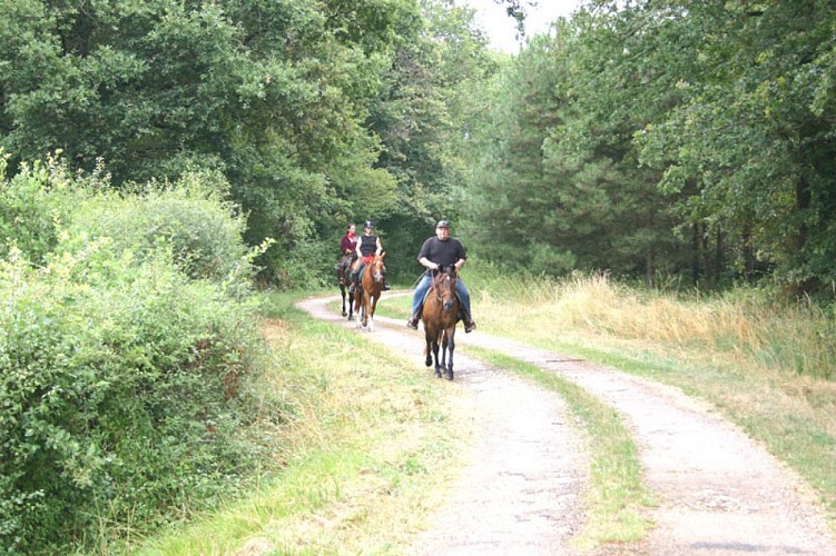 En passant par la maison du Parc