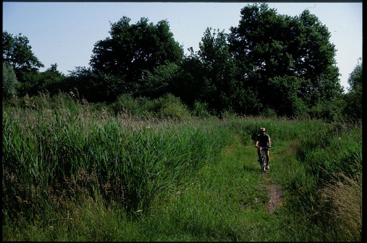 Queue-etang-Bellebouche-d-2