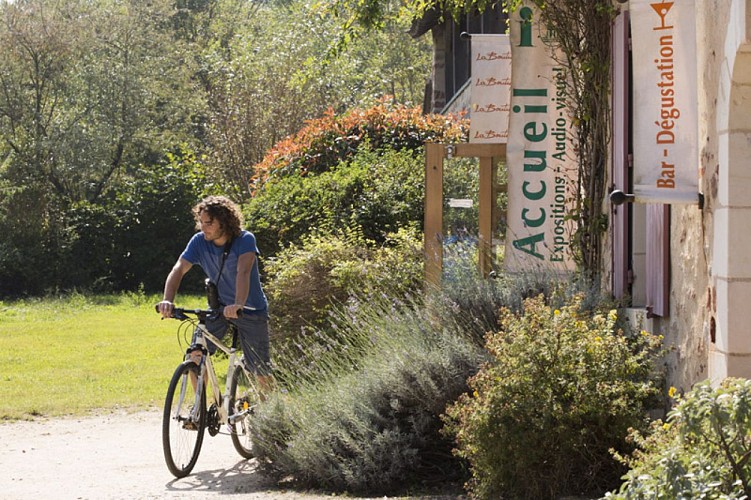 2014-09-HVI--Maison-du-Parc-27-AN-34213