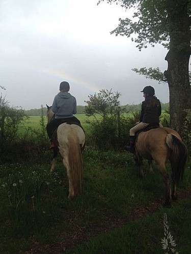 En passant par la forêt de Luzeret