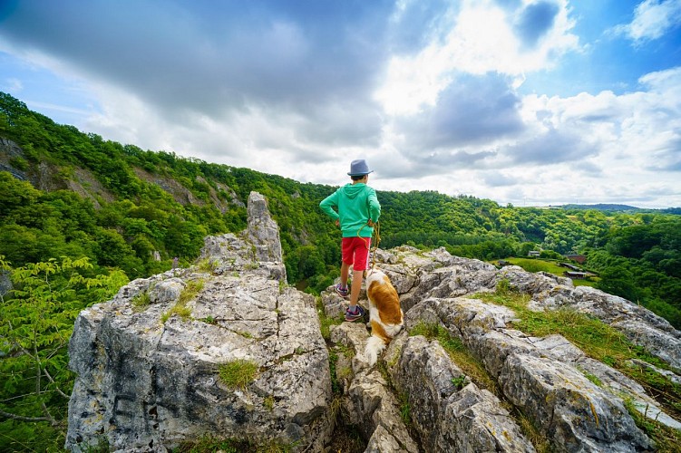 494678170_1292497412878856_6003145842781960219_n