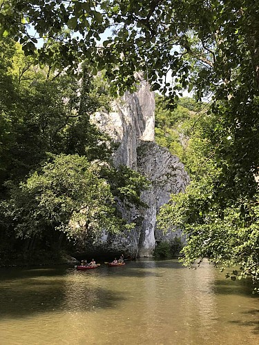 5c0d0e0f-f87c-4fcc-b6f8-171d1e4e7ba2 (1)