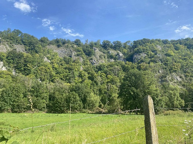 D893a8e5-8a33-4912-ac56-d96ef4dfba78