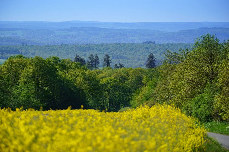 Ciney_Serinchamps_23042020_034