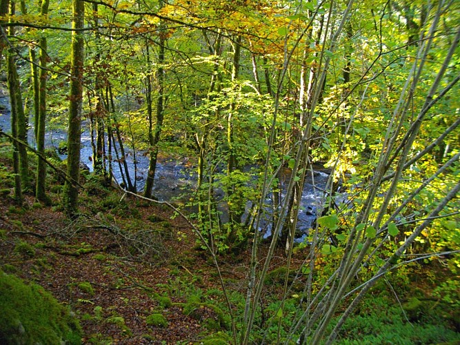 Au fil de la Sarsonne