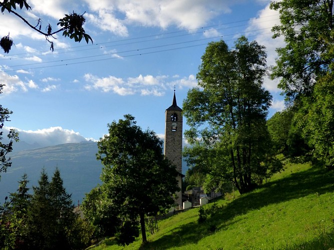 Peisey Church Wood Trail