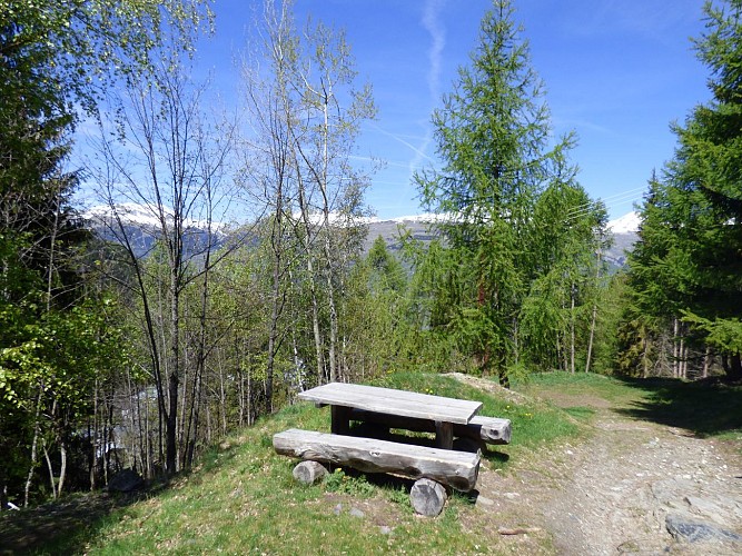 Peisey Church Wood Trail