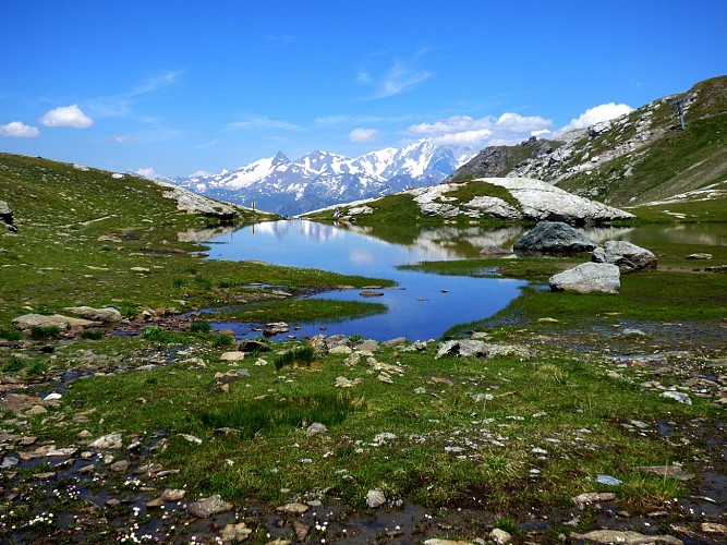 Lac des Moutons - Grand Col (hin = zurück)