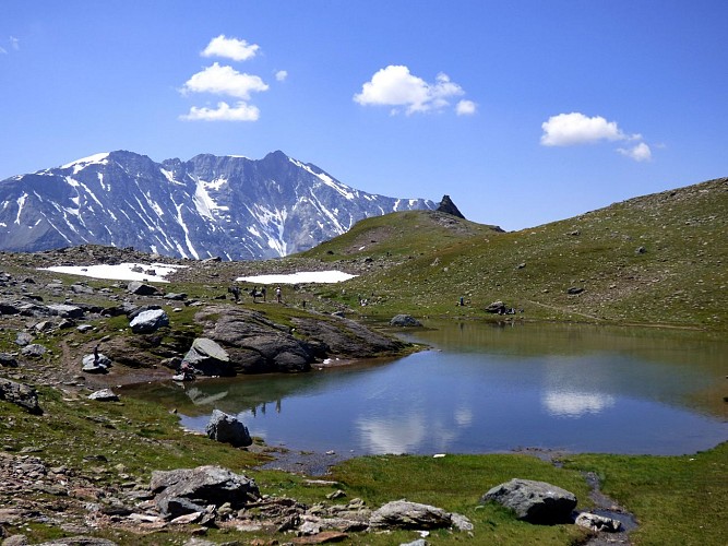Lac des Moutons - Grand Col (hin = zurück)