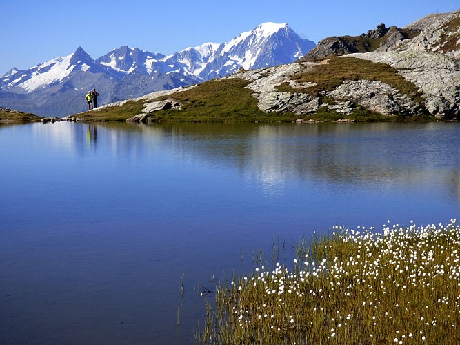 Lac des Moutons - Grand Col (outward = return)