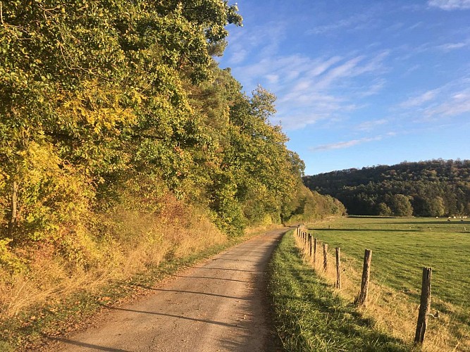 B02dd6c2-d83c-4299-be3a-8856e7dc5dfe (1)