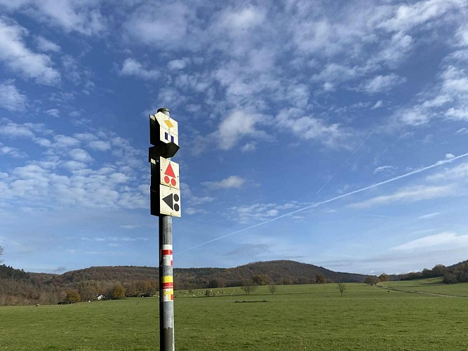 8dde82b5-f599-4fd0-b781-bb6e5826d1ec