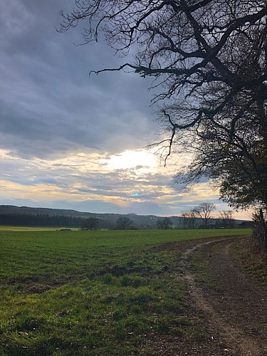 Circuit VTT Photo 24