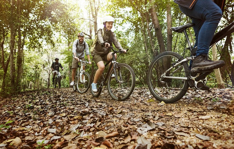 Group-of-friends-ride-mountain-bike-in-the-forest-together