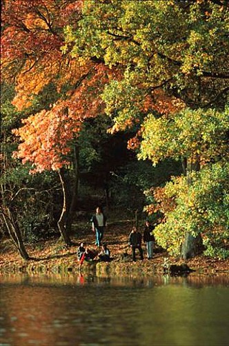 DLO - arboretum de Pézanin; OT