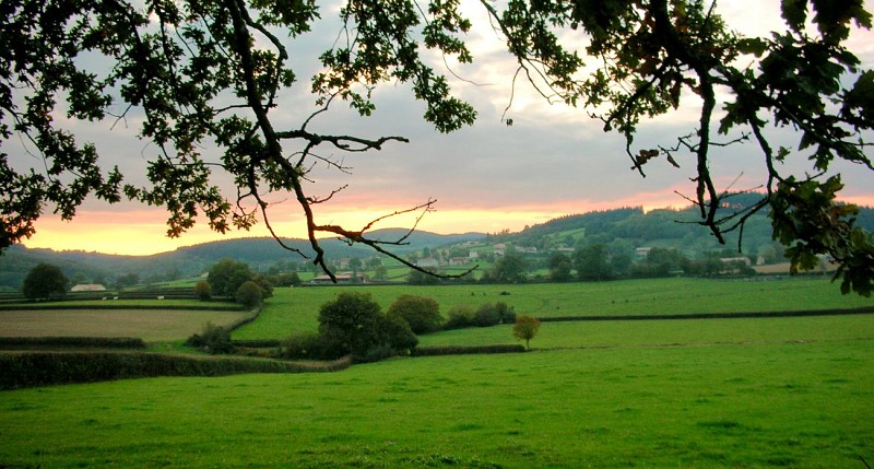 Vertes collines du pays de Matour/Les Justices à Montagny-sur-Grosne/DPS