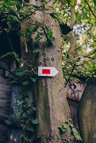 Bois de Heigne - Balisage