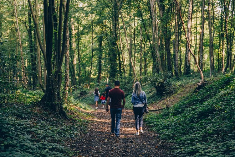 Bois de Heigne à Jumet