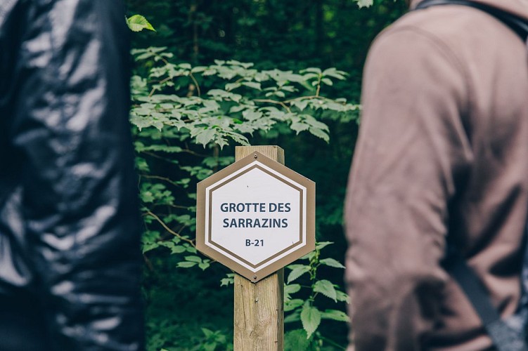 Promenade du Bois du Prince