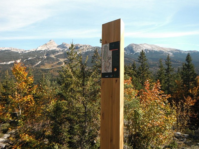 Le sentier des Gélinottes