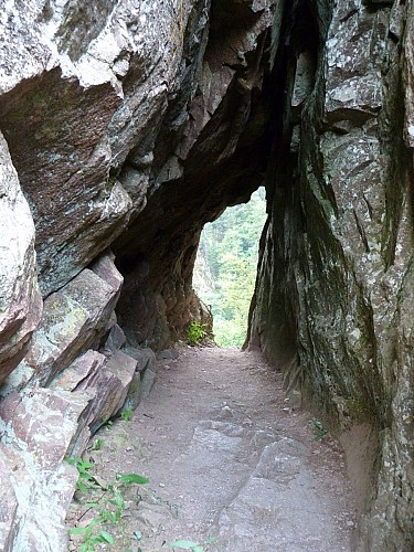 Randonnée Vosges - 1j - Sentier des Roches / Gaschney / Frankenthal