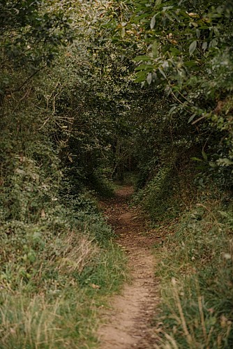 Chemin circuit Quintois