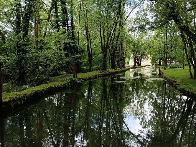 Biefs et moulins, aux sources de la Boutonne