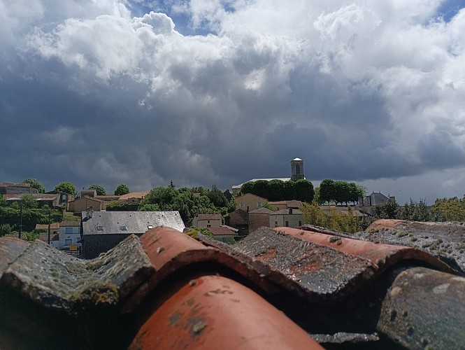 lumière et contrastes, aux sources de la Boutonne