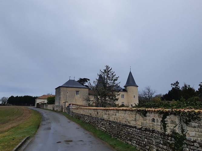 Château de Monteneau