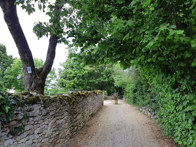 liaison entre "Le chemin des diligences" et "Sentier de la Touche"