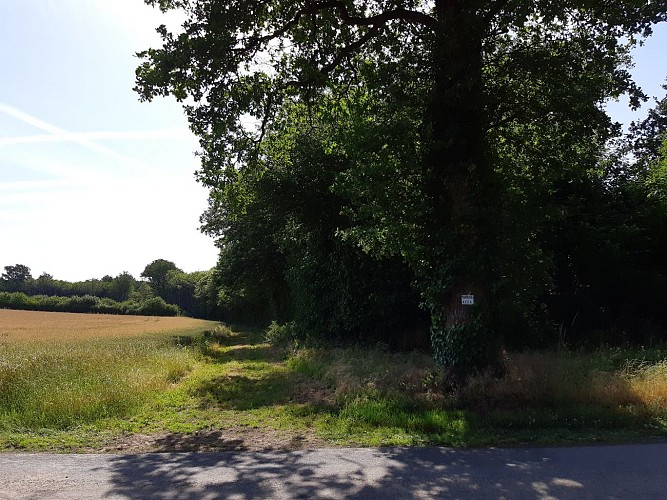 En lisière des Bois de La Garde