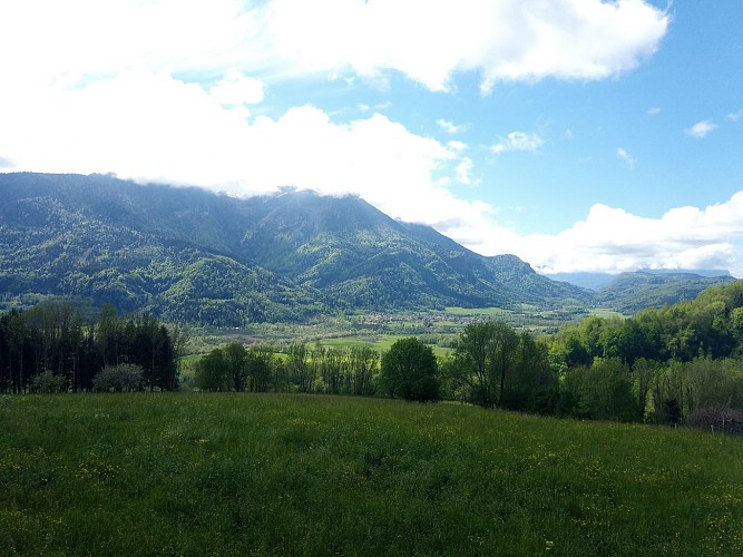 Panorama sur la plaine lacustre de St Laurent du Pont