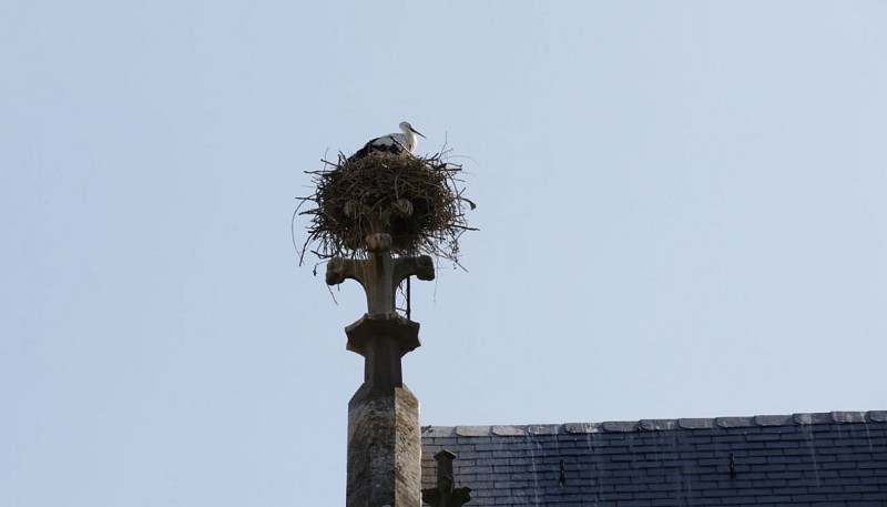 Le Parcours des Cigognes - Sarralbe